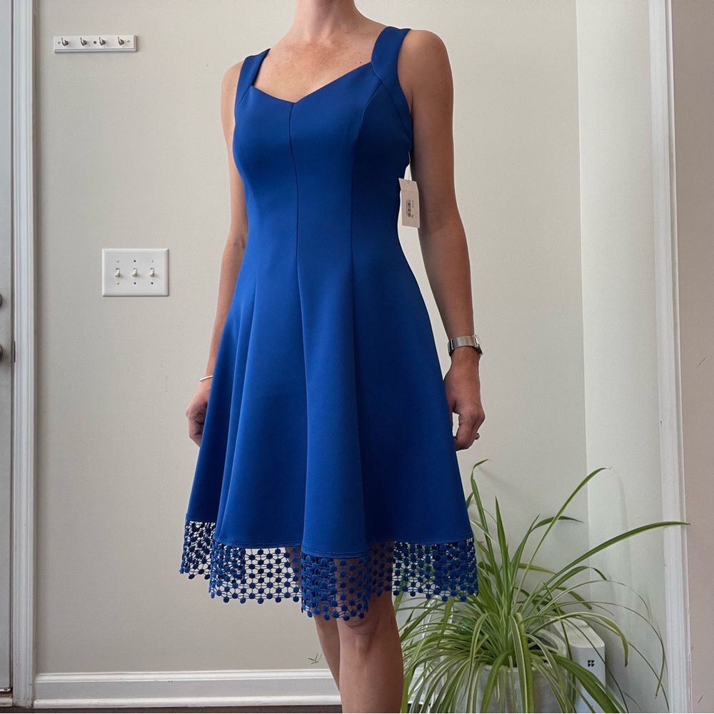 Donna Ricco Royal Blue Midi Dress